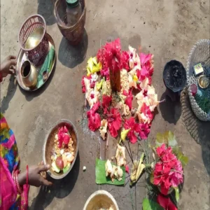 Bata Osha (ବାଟ ଓଷା) Premium