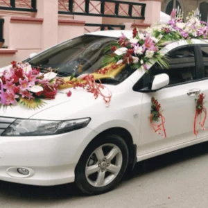 Car Decoration Premium