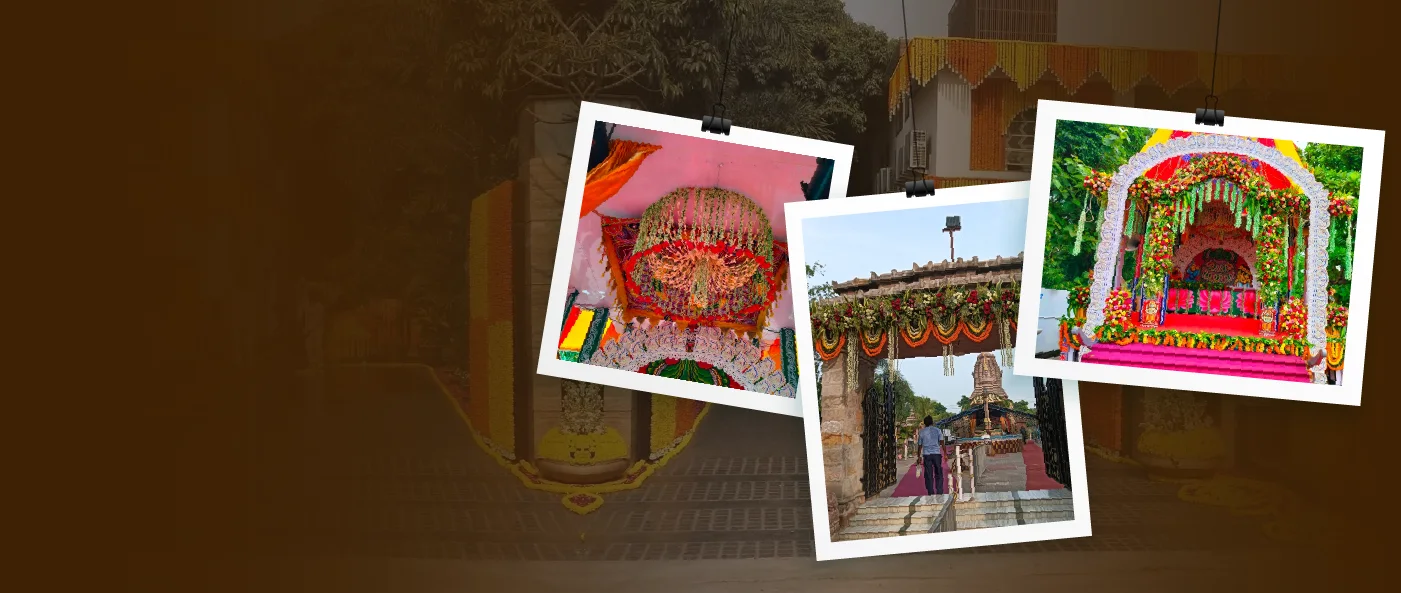 Elegant Vibrant Flower Decoration Magic